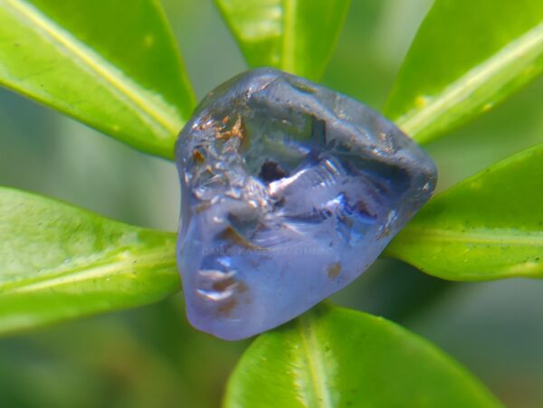 Ceylon Blue Sapphire Rough Stones