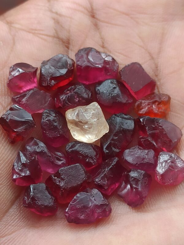 Enstatite and Garnet gemstones