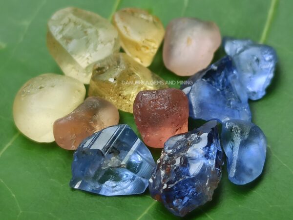 Ceylon Sapphire mix color Rough Collection