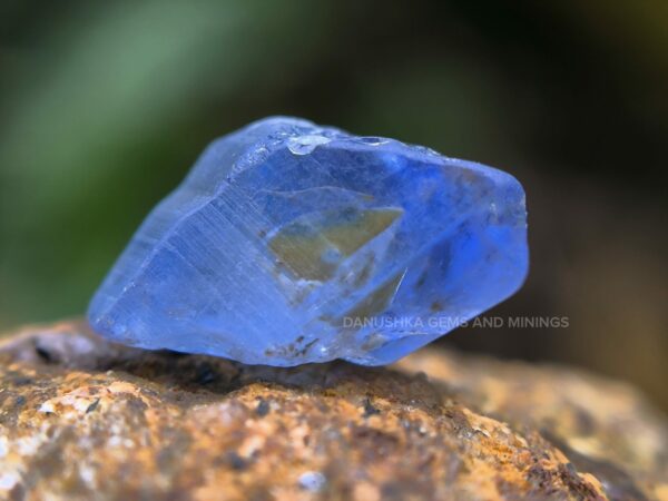 Nature with This Unique Two-Phase Inclusion Sapphire - Collector Piece