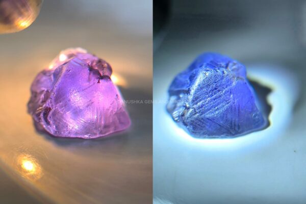 Ceylon Natural Color Change Sapphire Rough