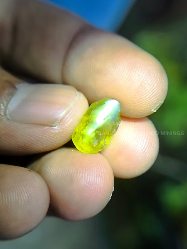 Green Chrysoberyl Rough & Cats Eye Rough