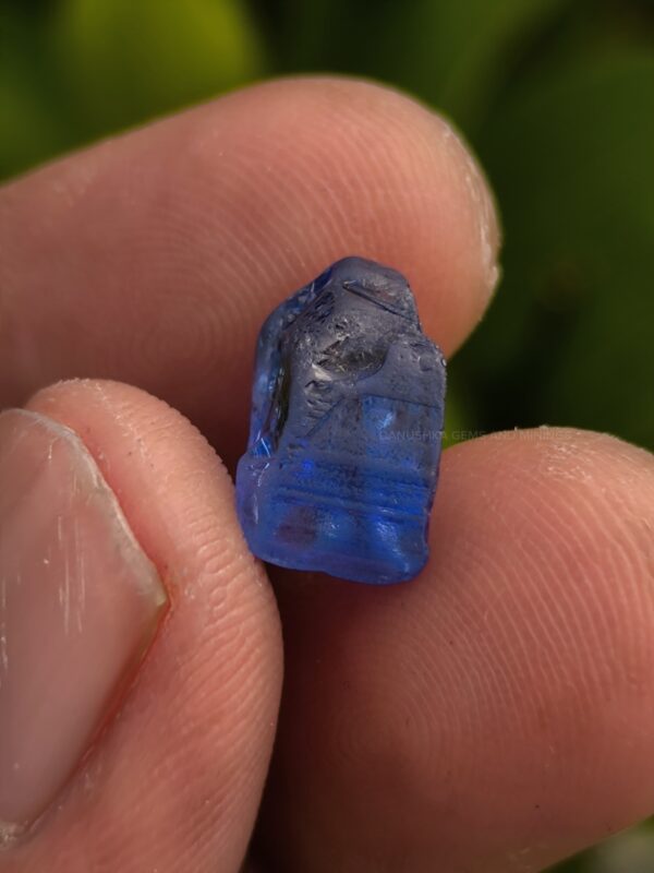 Natural Vivid Royal Blue Sapphire Rough