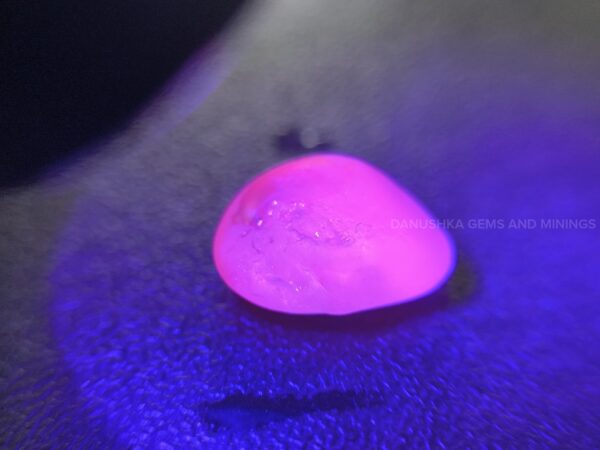 Ceylon Natural Violet Star Sapphire Rough With color shifting