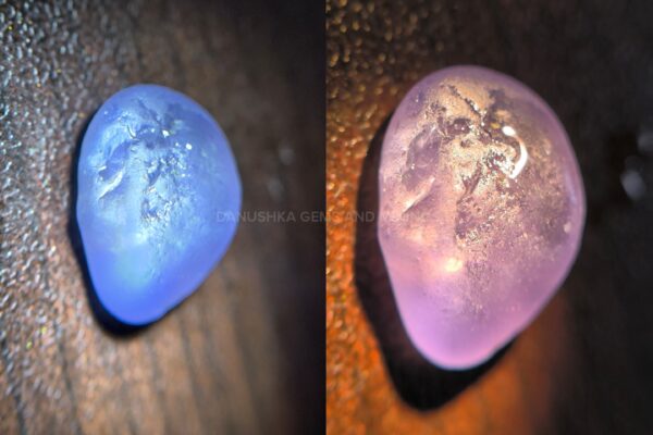 Ceylon Natural Violet Star Sapphire Rough With color shifting