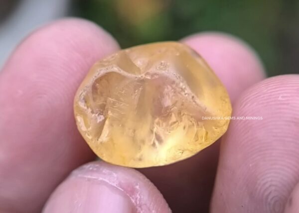 FACET GRADE NATURAL YELLOW SAPPHIRE BIG ROUGH