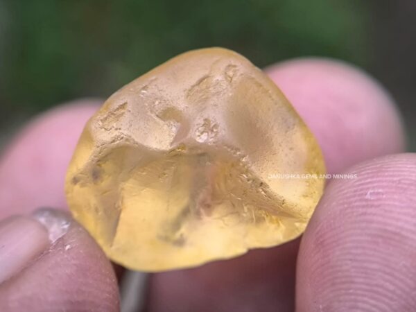 FACET GRADE NATURAL YELLOW SAPPHIRE BIG ROUGH