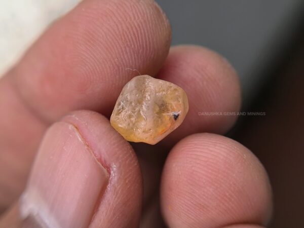 Peach Sapphire Rough with Padparadscha Pleochroism