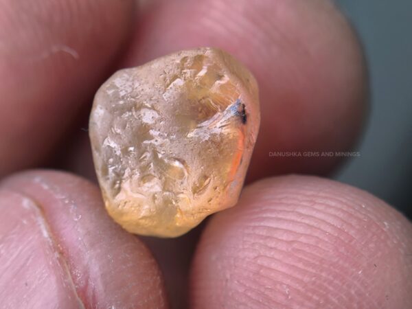 Peach Sapphire Rough with Padparadscha Pleochroism