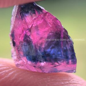 Natural Bi-color Sapphire Pink and Blue Combination Rough