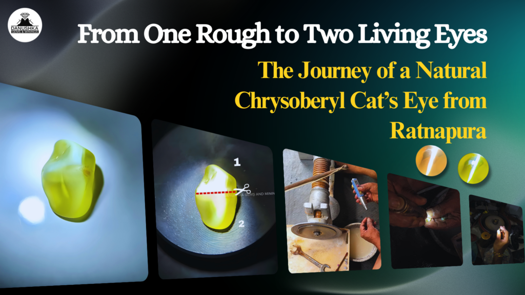 The Journey of a Natural Chrysoberyl Cat’s Eye