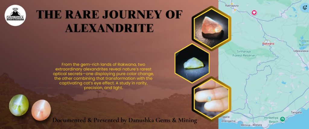 The Rare Journey of Alexandrite with and without Cat’s Eye