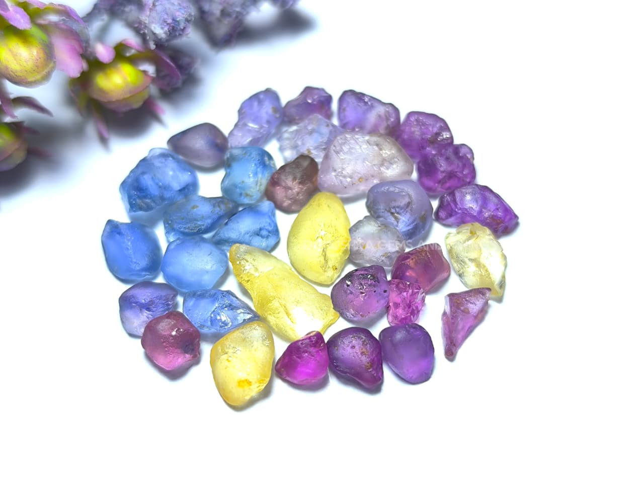 50 ct Ceylon natural unheated sapphire rough parcel with 32 pieces in pink, purple, blue, yellow, violet, lavender, and bi-color sapphire from Sri Lanka