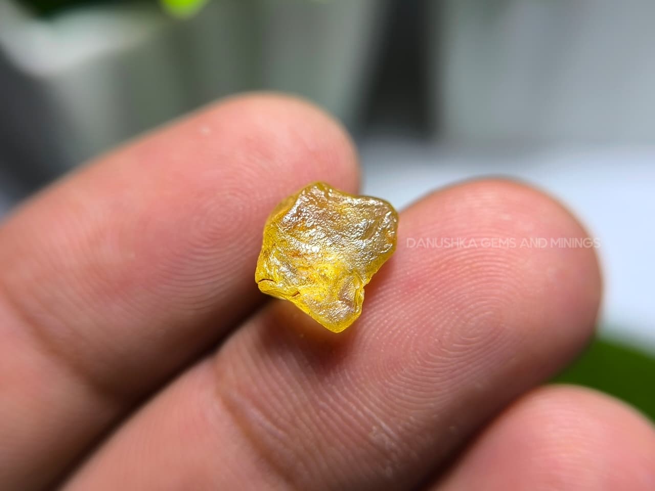 4.56 ct unheated Madagascar yellow sapphire rough with facet grade cutting potential