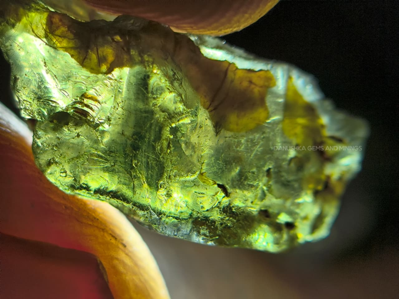 54.25 ct Natural Unheated Sri Lankan Kornerupine Rough Parcel from Elahera – 17 Pieces Facet Grade Gem Rough - Image 12