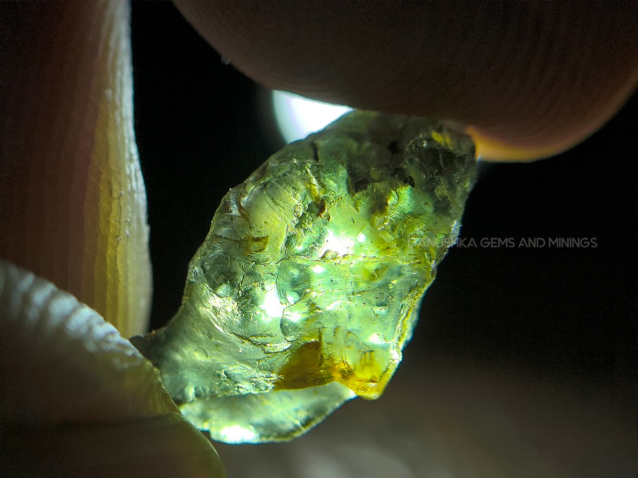 54.25 ct Natural Unheated Sri Lankan Kornerupine Rough Parcel from Elahera – 17 Pieces Facet Grade Gem Rough - Image 15