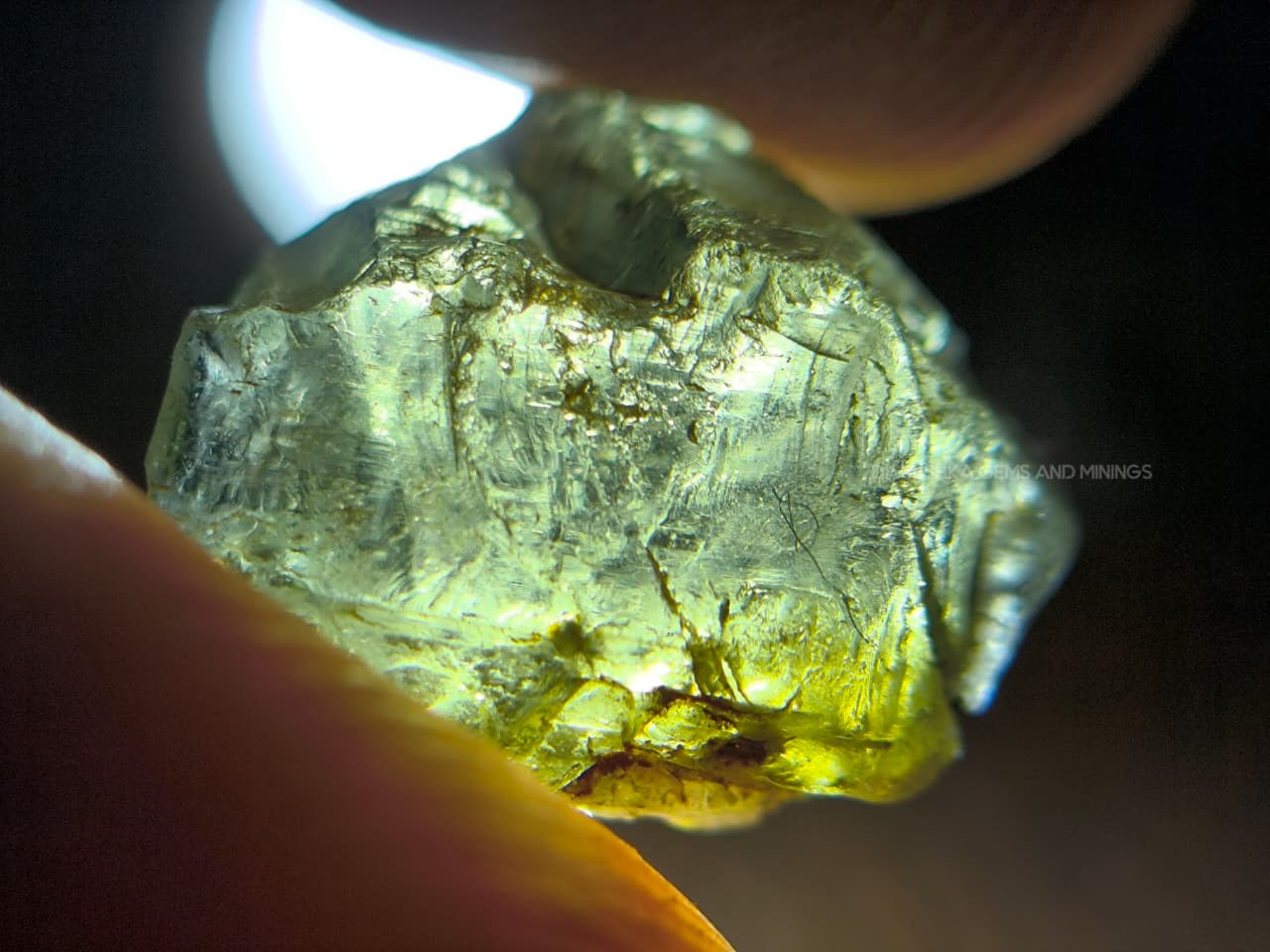 54.25 ct Natural Unheated Sri Lankan Kornerupine Rough Parcel from Elahera – 17 Pieces Facet Grade Gem Rough - Image 5
