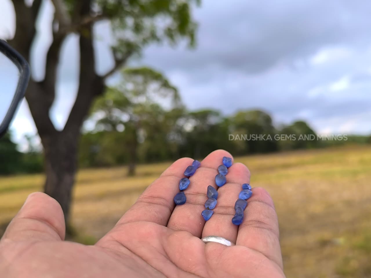 23.60 ct Ceylon Unheated Blue Sapphire Rough Parcel – 14 pcs Facet Grade from Kalu Ganga, Sri Lanka - Image 5