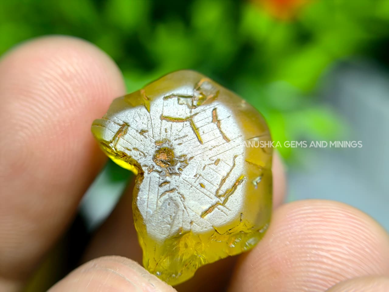 20.70 ct Ceylon Natural Unheated Yellowish-Green Chrysoberyl Crystal from Embilipitiya, Sri Lanka - Image 14