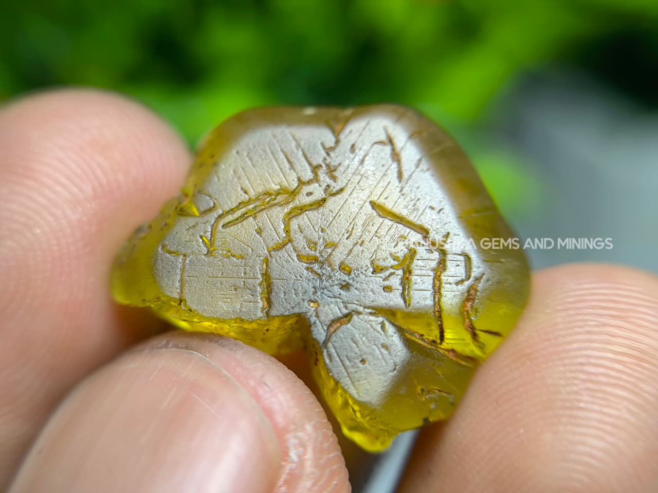 20.70 ct Ceylon Natural Unheated Yellowish-Green Chrysoberyl Crystal from Embilipitiya, Sri Lanka - Image 15