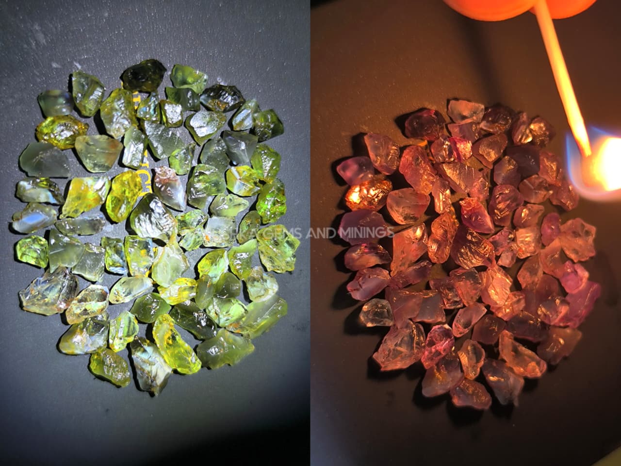 50 ct Natural Unheated Alexandrite Rough Parcel – 60 Facet-Grade Pieces from Madagascar - Image 23
