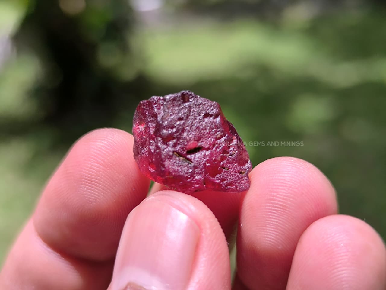 21.00 ct Ceylon Natural Unheated Pyrope Red Garnet Rough from Kolonna, Sri Lanka – Large Facet Grade Rough - Image 3