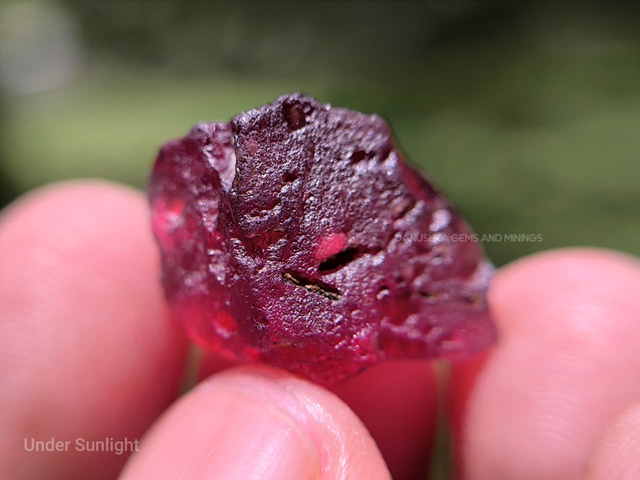 21.00 ct Ceylon Natural Unheated Pyrope Red Garnet Rough from Kolonna, Sri Lanka – Large Facet Grade Rough - Image 5