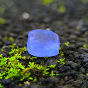 4.00 ct Natural Ceylon Blue Sapphire Rough – Unheated Cushion Potential from Kahawatta, Sri Lanka