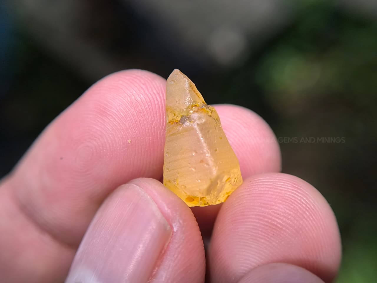 9.10 ct Natural Unheated Ceylon Yellow Sapphire Rough – Facet Grade Marapana Sri Lanka - Image 12