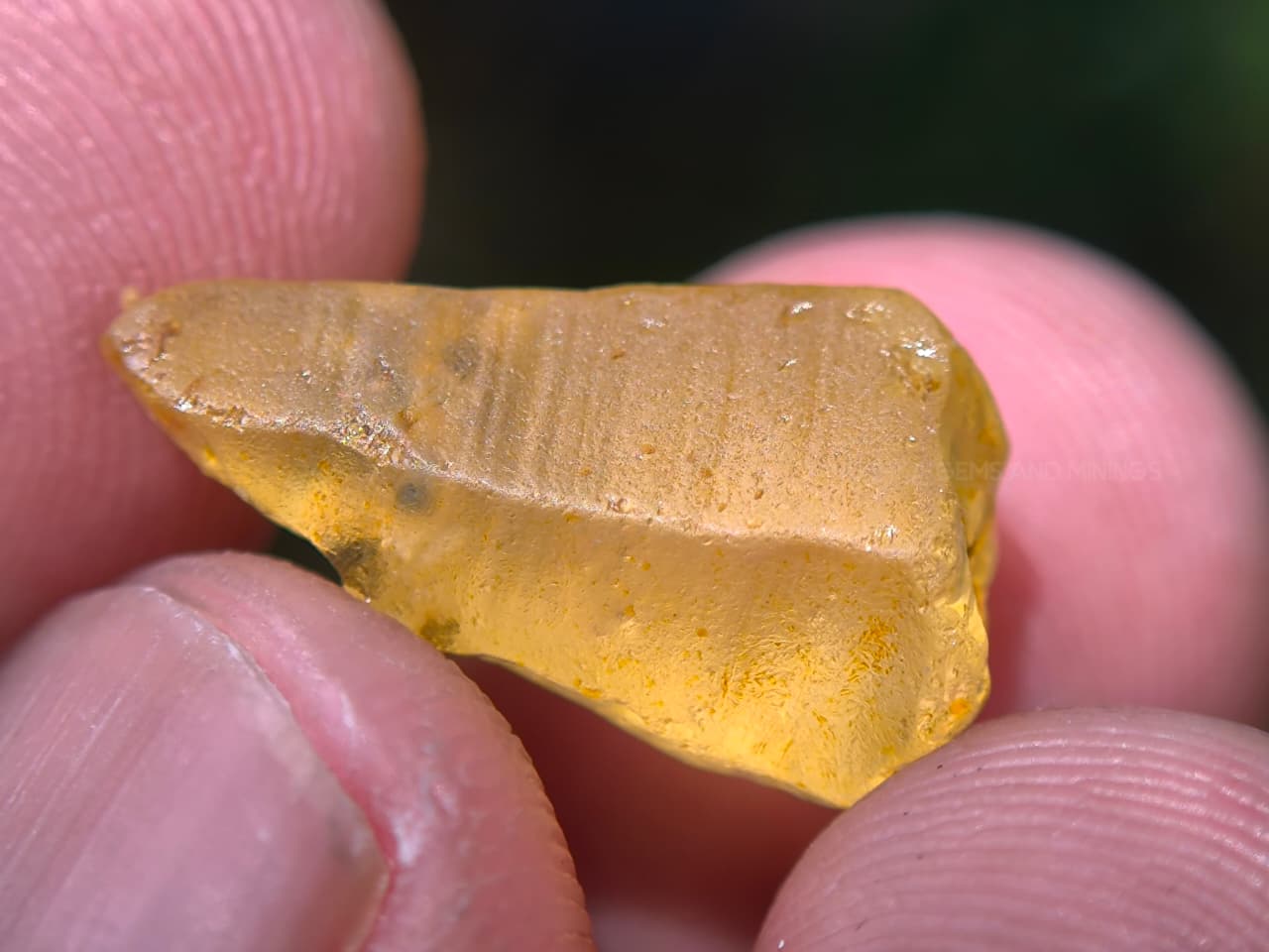 9.10 ct Natural Unheated Ceylon Yellow Sapphire Rough – Facet Grade Marapana Sri Lanka - Image 16