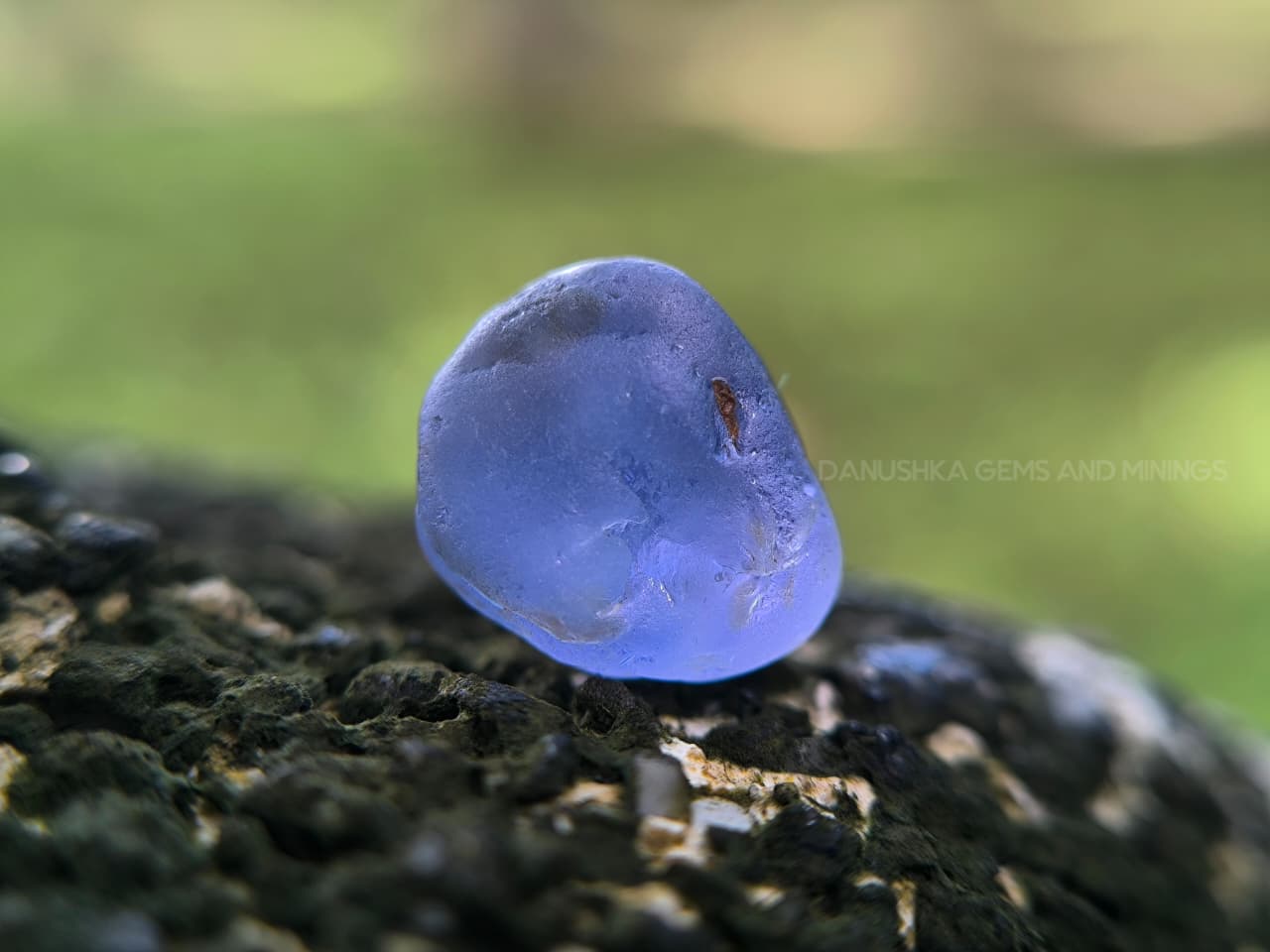 9.88 ct Ceylon Blue Sapphire Young Geuda Rough – Unheated Facet Grade from Endana, Sri Lanka - Image 21