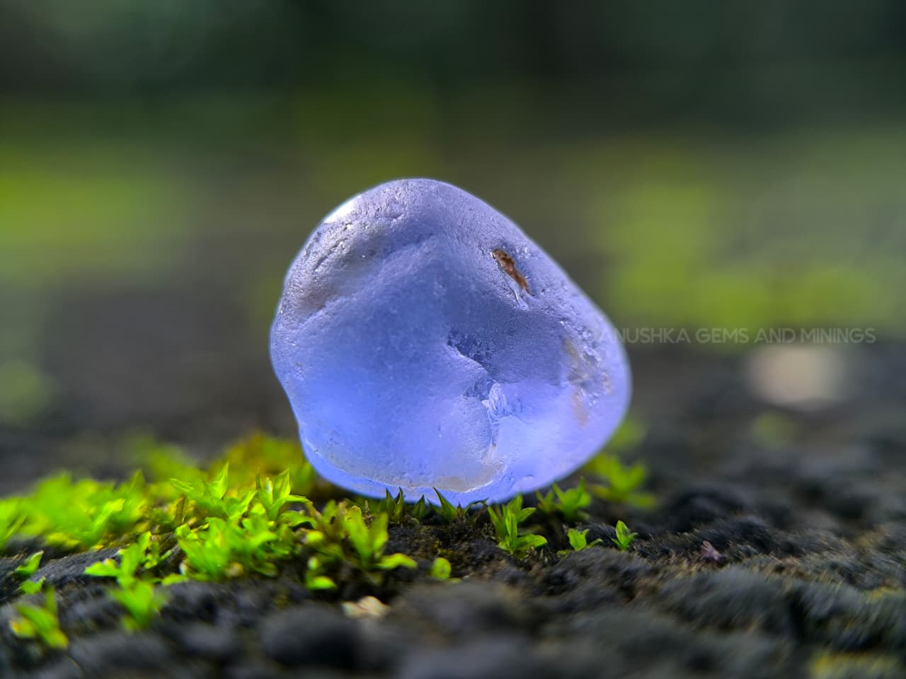 9.88 ct Ceylon Blue Sapphire Young Geuda Rough – Unheated Facet Grade from Endana, Sri Lanka - Image 8