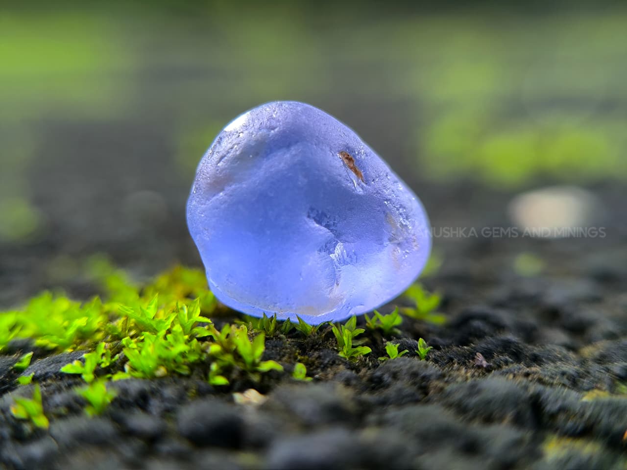 9.88 ct Ceylon Blue Sapphire Young Geuda Rough – Unheated Facet Grade from Endana, Sri Lanka - Image 9