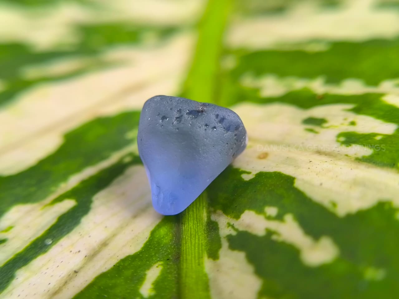 9.88 ct Ceylon Blue Sapphire Young Geuda Rough – Unheated Facet Grade from Endana, Sri Lanka - Image 10
